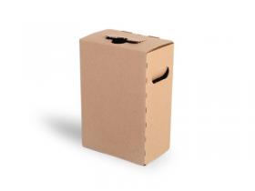 Bag-in-Box 3 L (střed. výpusť) - zesílená krabice 